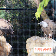 Mission Protéger au Parc Zoologique