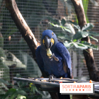 Mission Protéger au Parc Zoologique