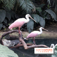 Mission Protéger au Parc Zoologique
