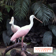 Mission Protéger au Parc Zoologique