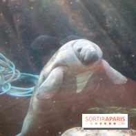 Mission Protéger au Parc Zoologique