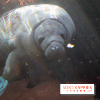 Mission Protéger au Parc Zoologique