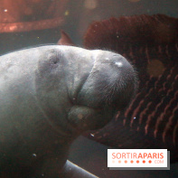 Mission Protéger au Parc Zoologique