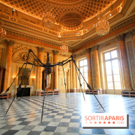 Women House à la Monnaie de Paris - Louise Bourgeois, Spider, 1995