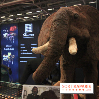 Salon du Chocolat 2017