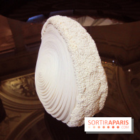 Un monde de plis à la chapelle Expiatoire