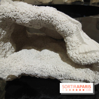 Un monde de plis à la chapelle Expiatoire