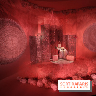 Exposition Hermès à tire-d'aile au Grand Palais