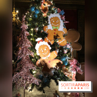 Noël 2017 à Vaux le Vicomte