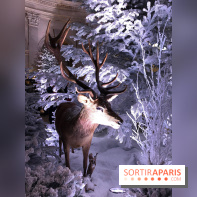 Noël 2017 à Vaux le Vicomte