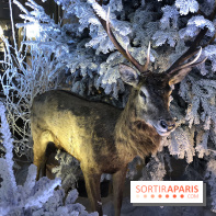 Noël 2017 à Vaux le Vicomte