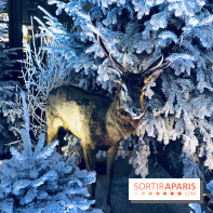 Noël 2017 à Vaux le Vicomte