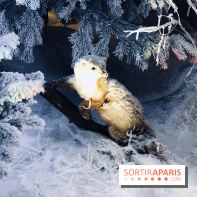 Noël 2017 à Vaux le Vicomte