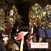 Noël 2017 à Vaux le Vicomte