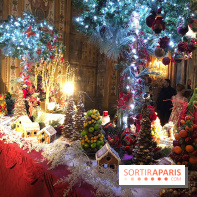 Noël 2017 à Vaux le Vicomte