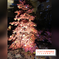 Noël 2017 à Vaux le Vicomte