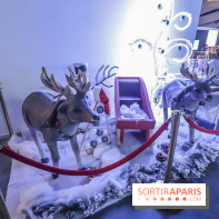 Peppa Pig débarque à l’Aquarium de Paris