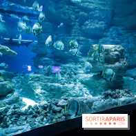 Peppa Pig débarque à l’Aquarium de Paris