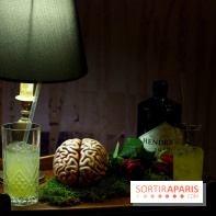 Chambers of the Curious, édition 2017, à l'Hôtel Particulier Montmartre