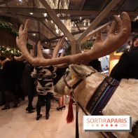 Le Marché de Noël du Péninsula