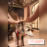 Le Marché de Noël du Péninsula