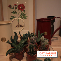 Le pop-up Store de Bergamotte