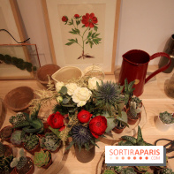 Le pop-up Store de Bergamotte