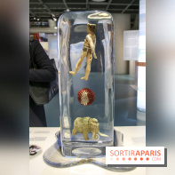 Froid à la Cité des Sciences