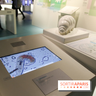 Froid à la Cité des Sciences