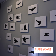 Nino Migliori, l'exposition à la MEP