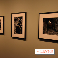 Nino Migliori, l'exposition à la MEP