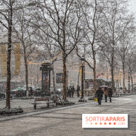 La Neige à Paris - IMG 2832