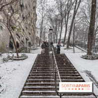 La Neige à Paris - IMG 2843