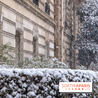 La Neige à Paris - IMG 7574