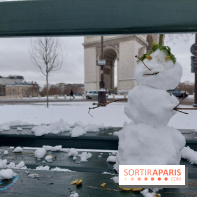 La Neige à Paris - 20260107 123615