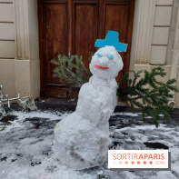 La Neige à Paris - 20260107 114349