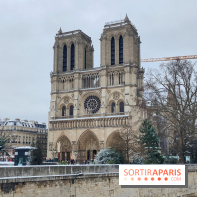 La Neige à Paris - Notre Dame de Paris