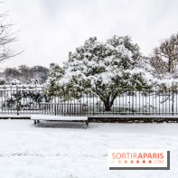 La Neige à Paris