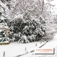 La Neige à Paris
