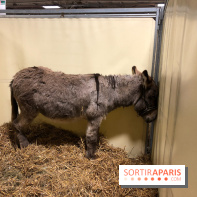 Salon de l'agriculture 2018