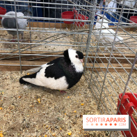 Salon de l'agriculture 2018