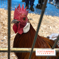 Salon de l'agriculture 2018