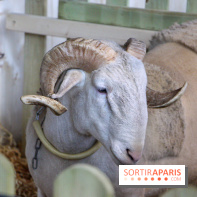 Salon de l'agriculture 2018
