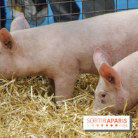 Salon de l'agriculture 2018