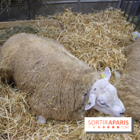 Salon de l'agriculture 2018