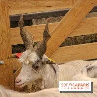 Salon de l'agriculture 2018