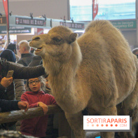 Salon de l'agriculture 2018