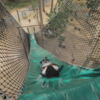 Xtrem Aventures Cergy : les photos