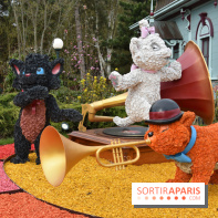 Base de données LaurentP