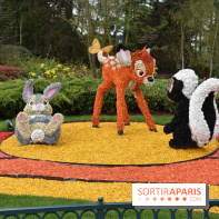 Base de données LaurentP